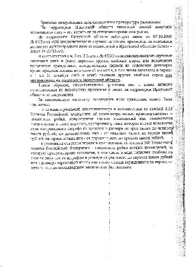 На территории Иркутской области законный способ получить новогоднюю елку - это купить ее на специализированном рынке. 